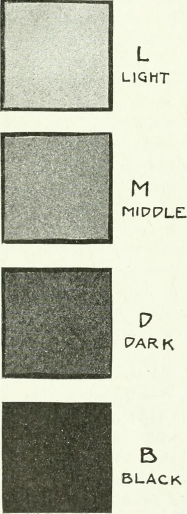 An illustration from Art, 1916, leaf 227