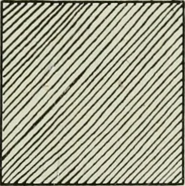 An illustration from Art, 1916, leaf 240