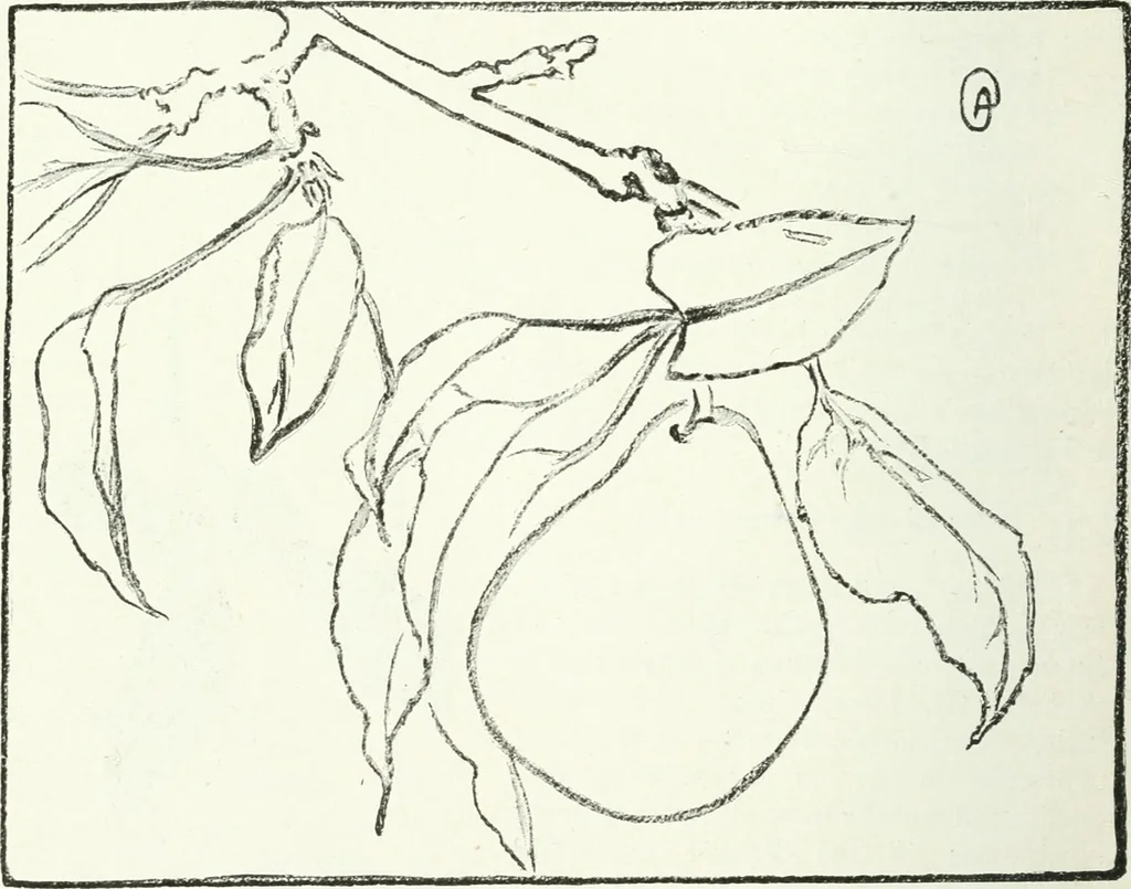 An illustration from Art, 1916, leaf 255