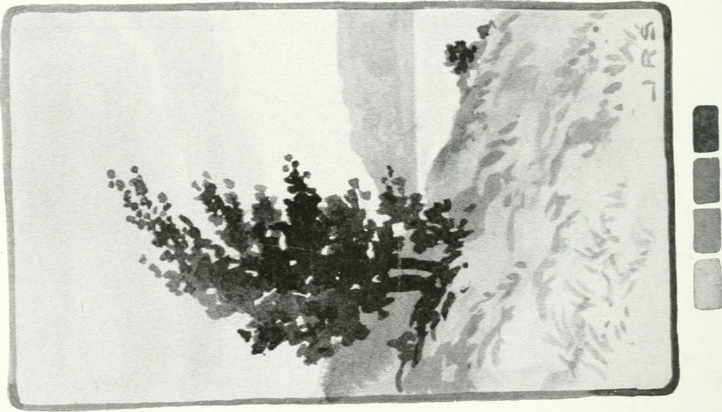 An illustration from Art, 1916, leaf 257