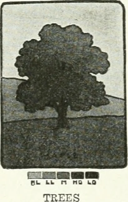 An illustration from Art, 1916, leaf 259