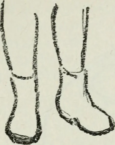 An illustration from Art, 1916, leaf 266