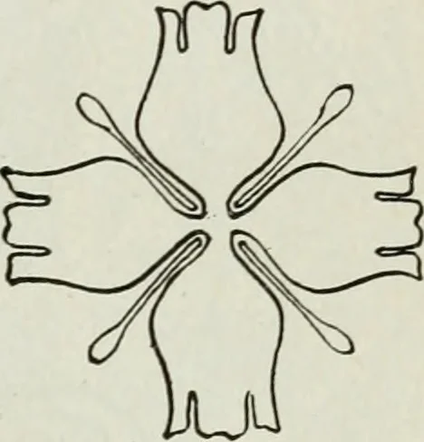 An illustration from Art, 1916, leaf 282