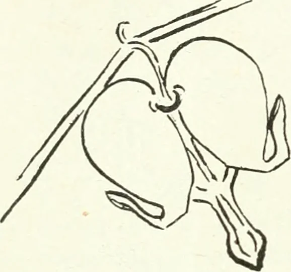 An illustration from Art, 1916, leaf 283