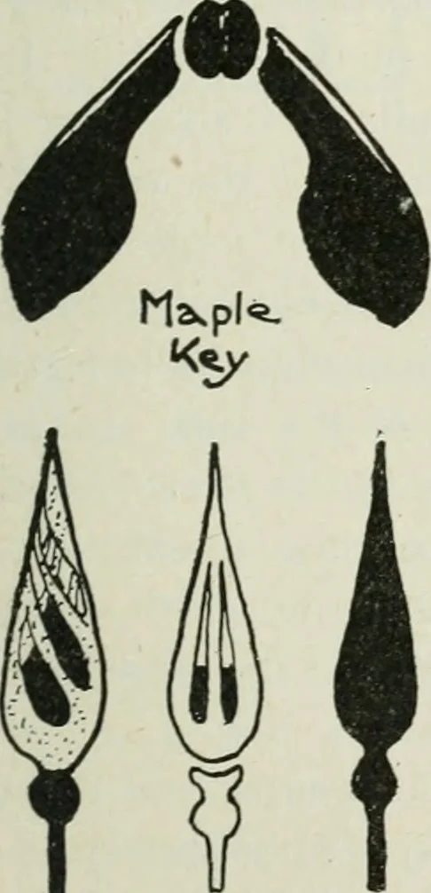 An illustration from Art, 1916, leaf 286