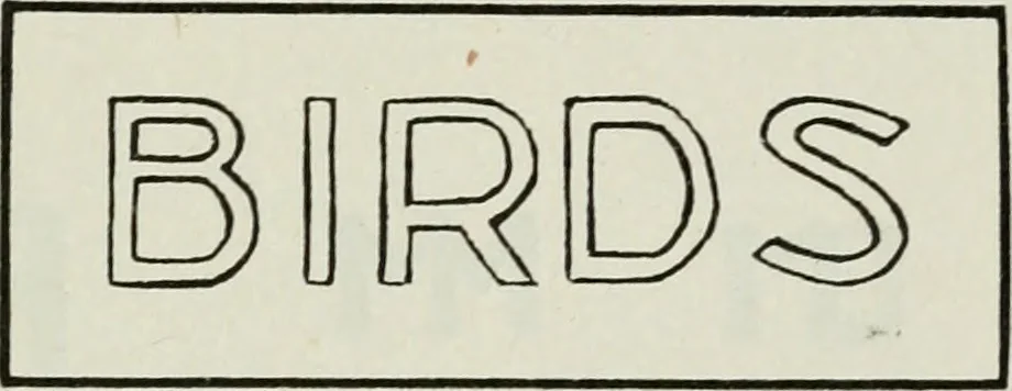 An illustration from Art, 1916, leaf 292