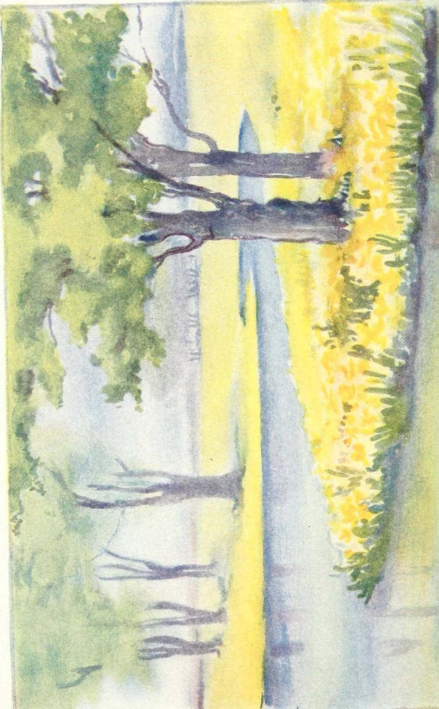 An illustration from Art, 1916, leaf 301