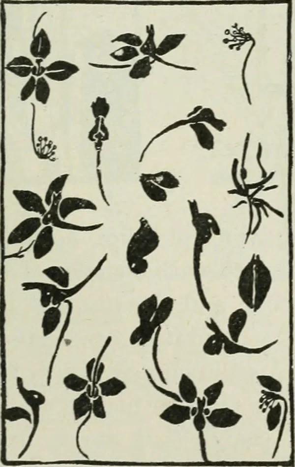An illustration from Art, 1916, leaf 310