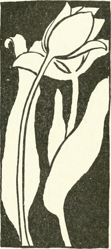 An illustration from Art, 1916, leaf 311