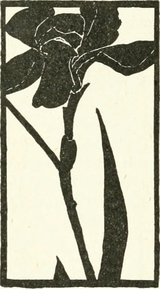 An illustration from Art, 1916, leaf 311