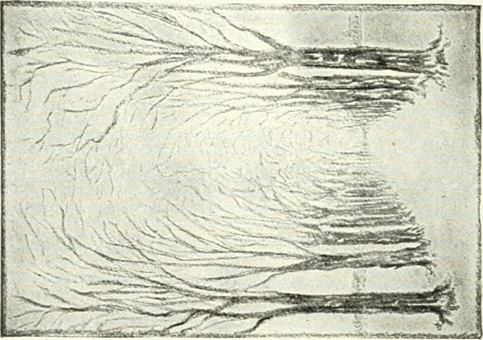 An illustration from Art, 1916, leaf 333