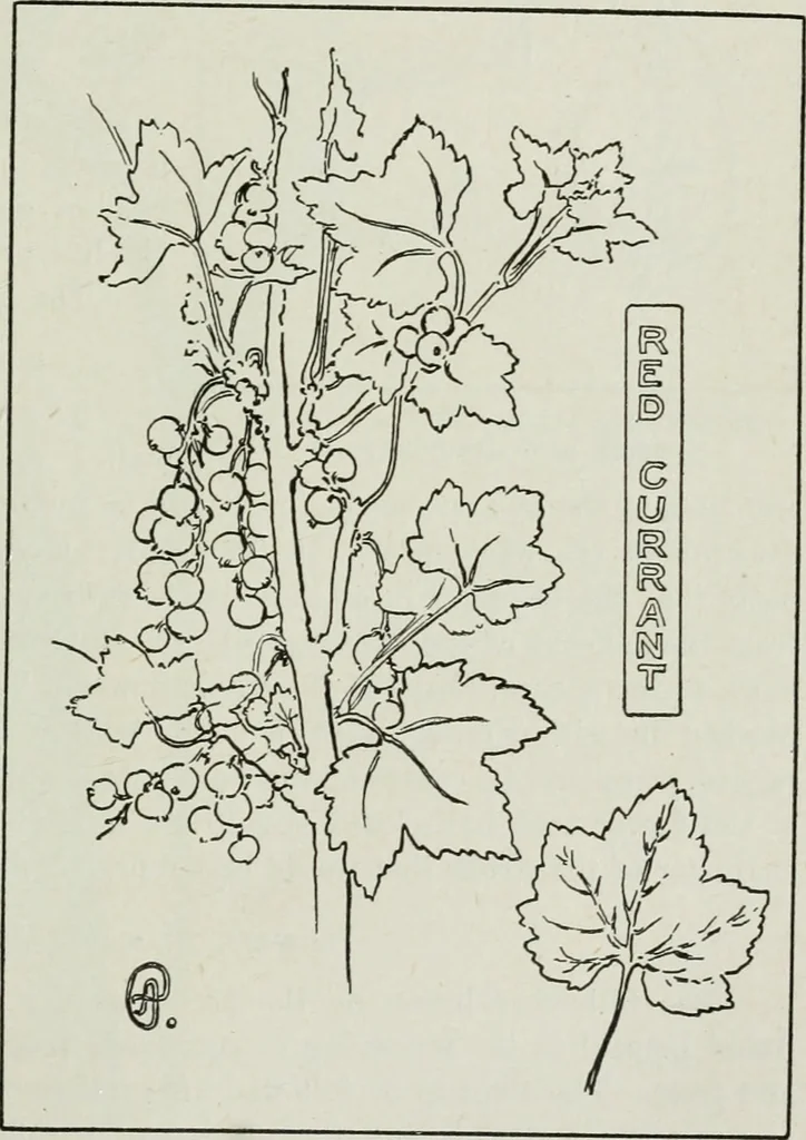 An illustration from Art, 1916, leaf 362
