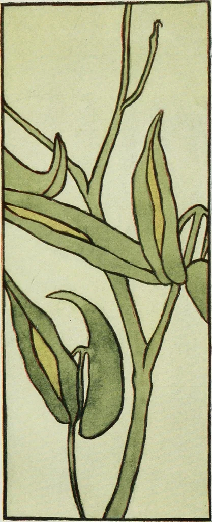 An illustration from Art, 1916, leaf 372