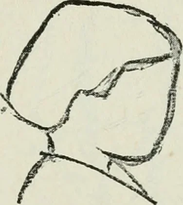 An illustration from Art, 1916, leaf 384