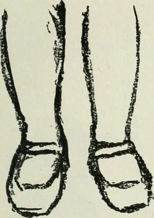 An illustration from Art, 1916, leaf 386