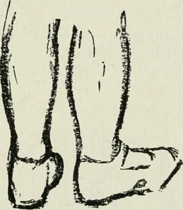 An illustration from Art, 1916, leaf 386