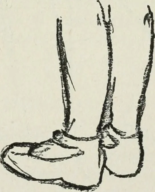 An illustration from Art, 1916, leaf 386