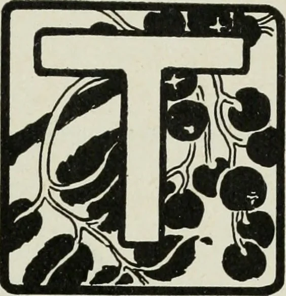 An illustration from Art, 1916, leaf 424