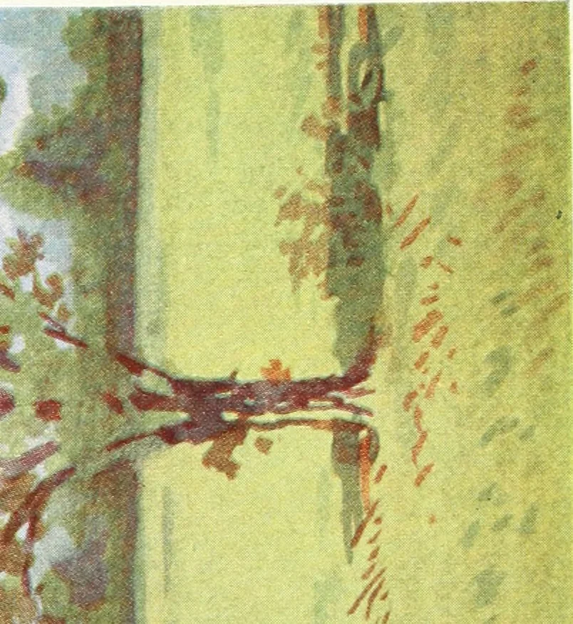 An illustration from Art, 1916, leaf 57