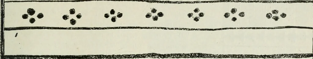 An illustration from Art, 1916, leaf 86