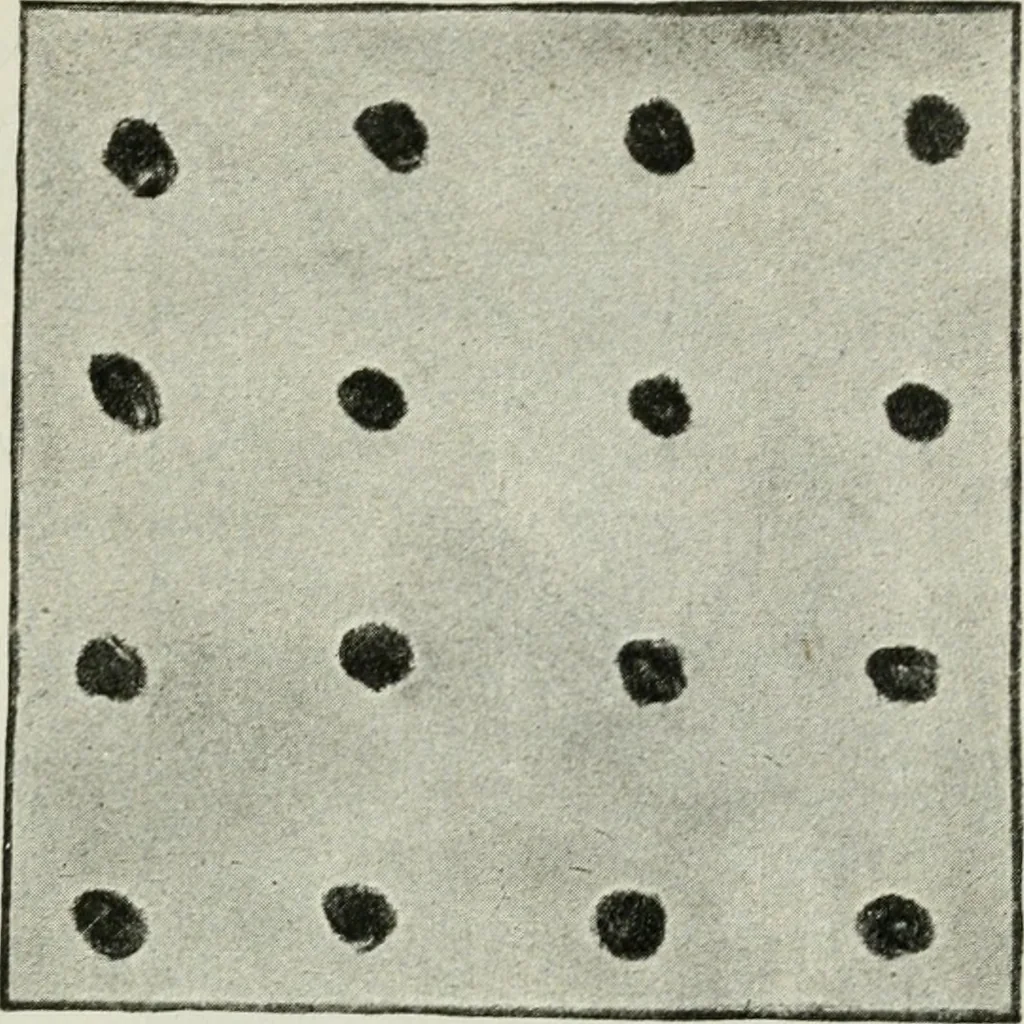An illustration from Art, 1916, leaf 88
