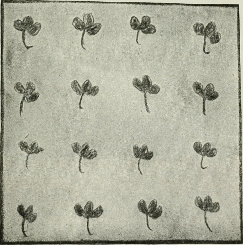 An illustration from Art, 1916, leaf 88