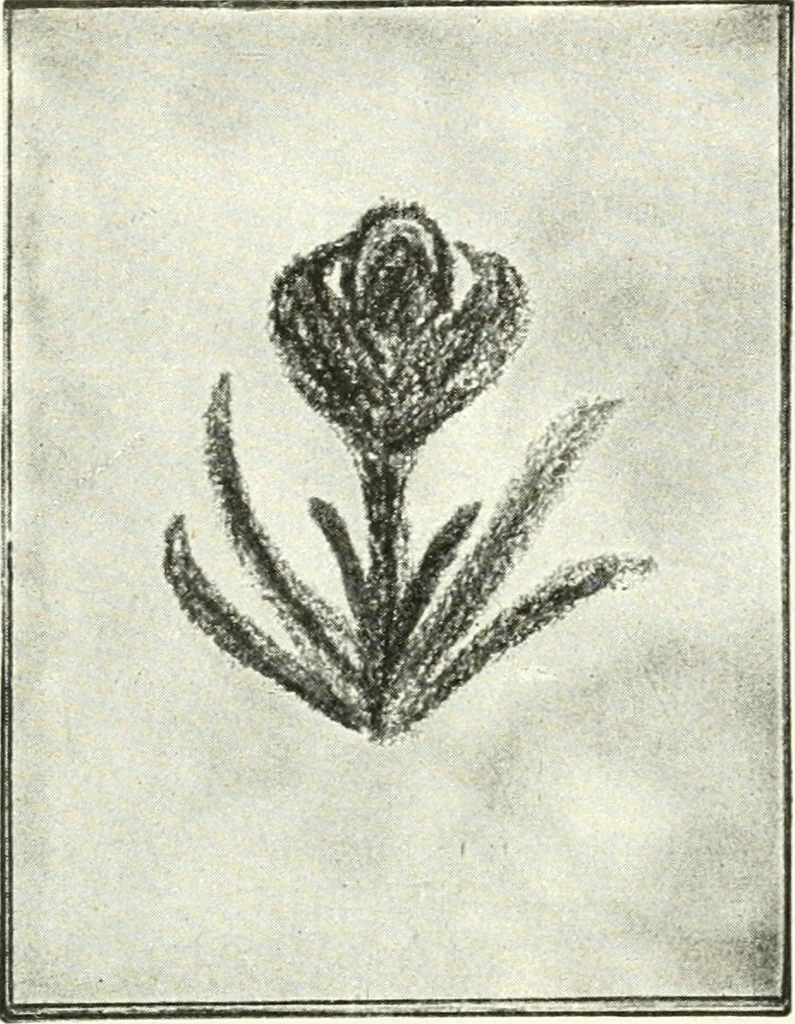 An illustration from Art, 1916, leaf 89