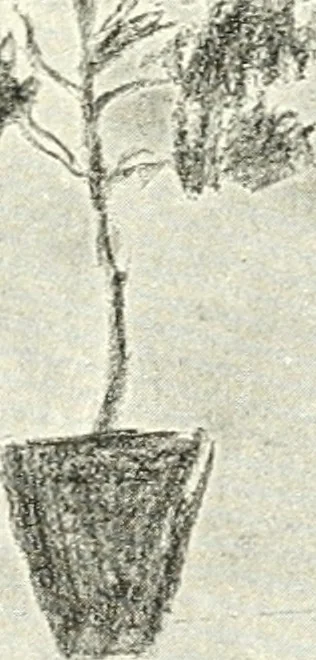 An illustration from Art, 1916, leaf 93