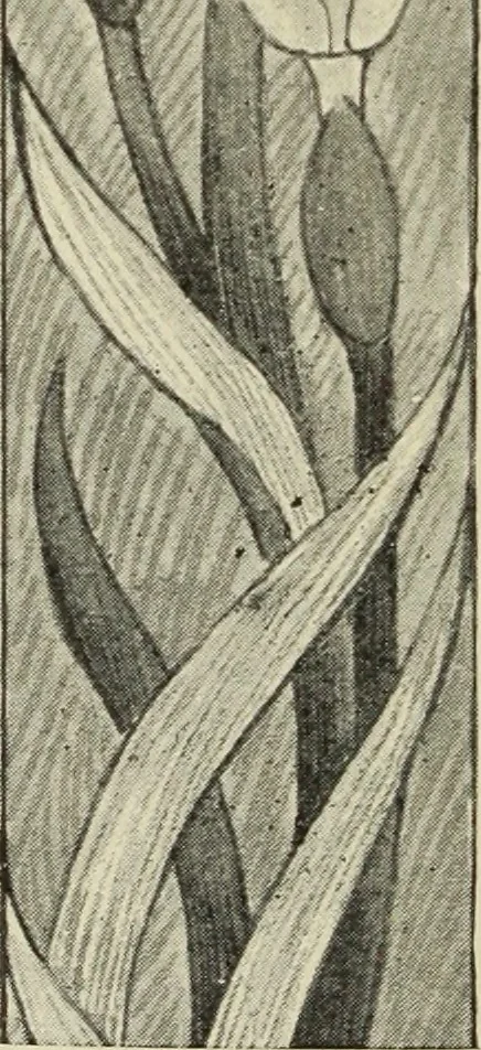An illustration from Art crafts for amateurs, 1901, leaf 139