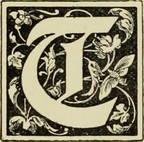 An illustration from Art crafts for amateurs, 1901, leaf 169