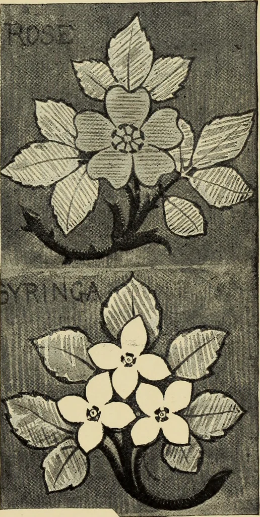 An illustration from Art crafts for amateurs, 1901, leaf 196