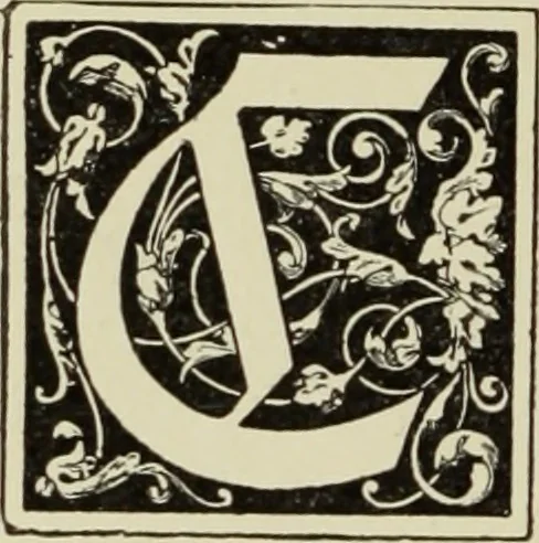 An illustration from Art crafts for amateurs, 1901, leaf 211