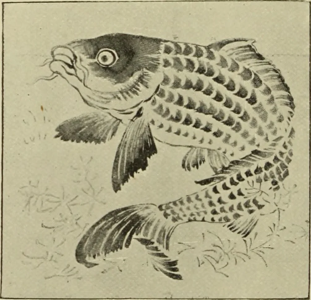 An illustration from Art crafts for amateurs, 1901, leaf 213