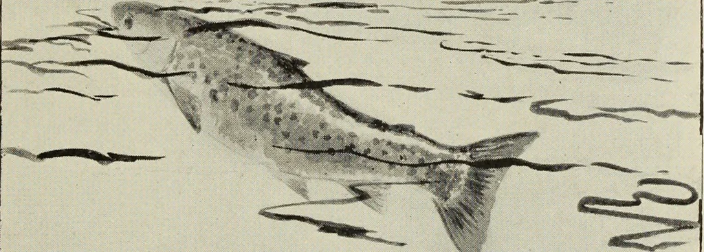 An illustration from Art crafts for amateurs, 1901, leaf 216