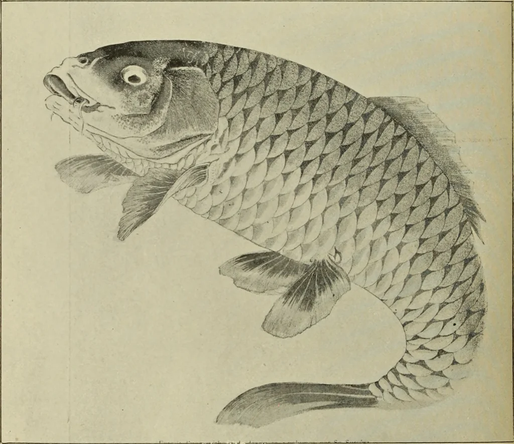 An illustration from Art crafts for amateurs, 1901, leaf 219