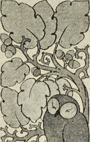 An illustration from Art crafts for amateurs, 1901, leaf 222