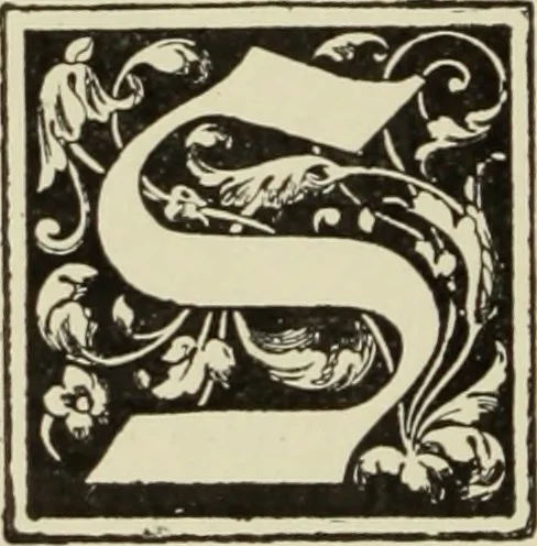 An illustration from Art crafts for amateurs, 1901, leaf 225