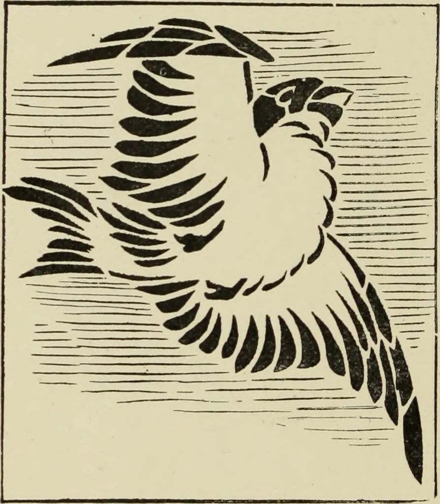 An illustration from Art crafts for amateurs, 1901, leaf 233