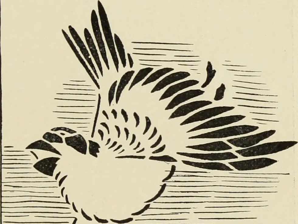 An illustration from Art crafts for amateurs, 1901, leaf 234