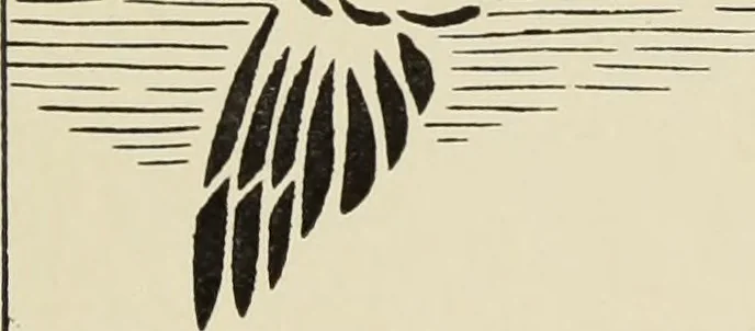 An illustration from Art crafts for amateurs, 1901, leaf 234