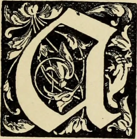 An illustration from Art crafts for amateurs, 1901, leaf 246
