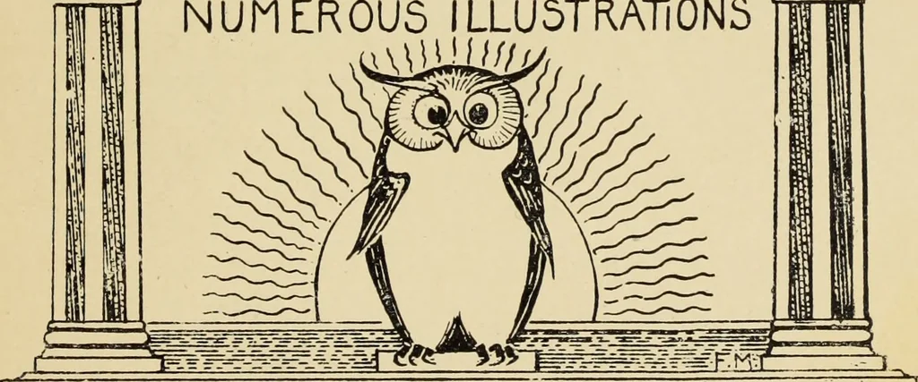 An illustration from Art crafts for amateurs, 1901, leaf 6