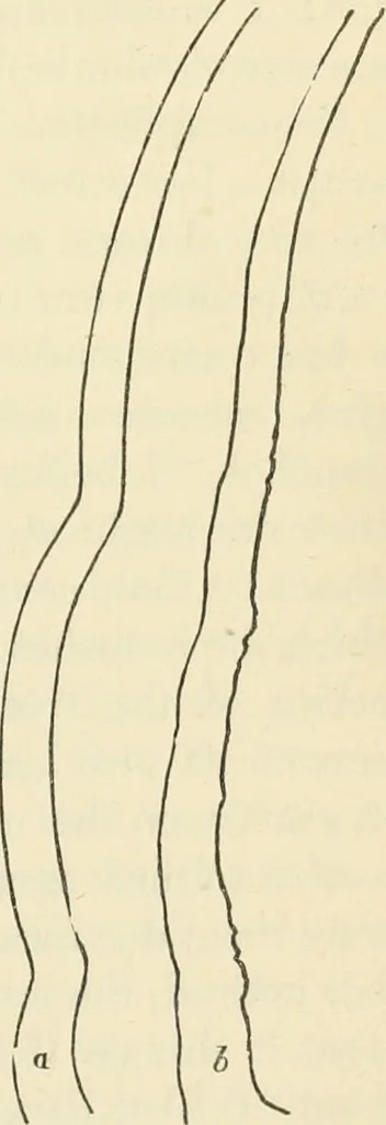 An illustration from Art culture: a hand-book of art technicalities and criticisms, 1873, leaf 106