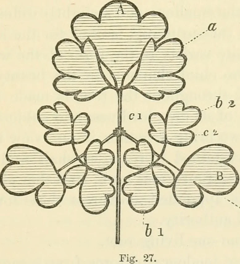 An illustration from Art culture: a hand-book of art technicalities and criticisms, 1873, leaf 112