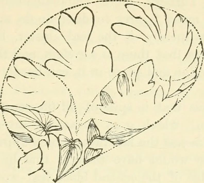 An illustration from Art culture: a hand-book of art technicalities and criticisms, 1873, leaf 286