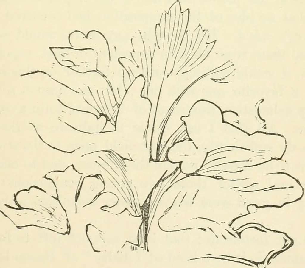 An illustration from Art culture: a hand-book of art technicalities and criticisms, 1873, leaf 286