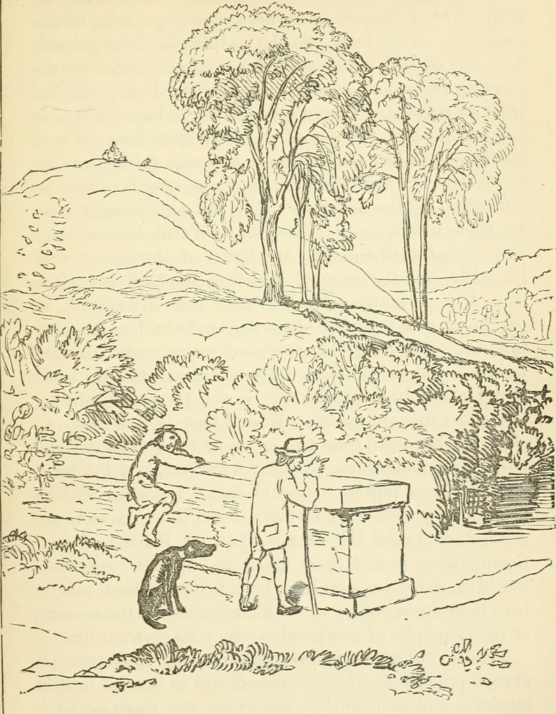 An illustration from Art culture: a hand-book of art technicalities and criticisms, 1873, leaf 294