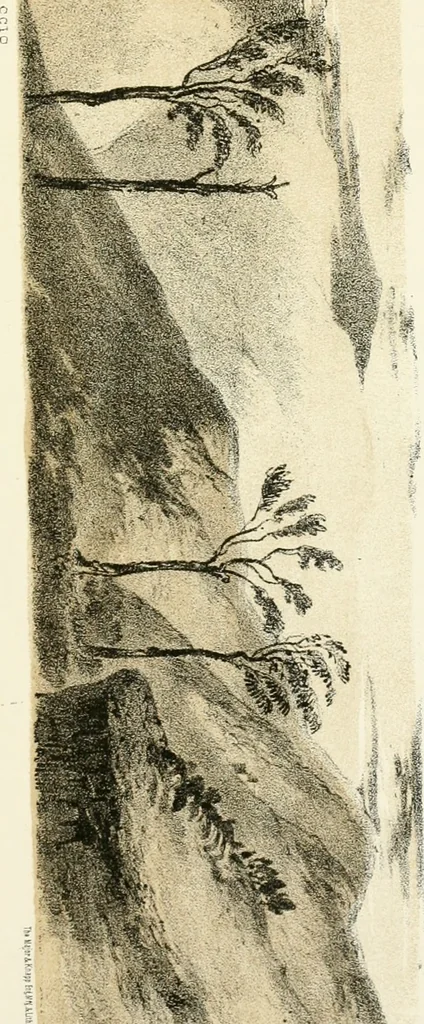An illustration from Art culture: a hand-book of art technicalities and criticisms, 1873, leaf 382