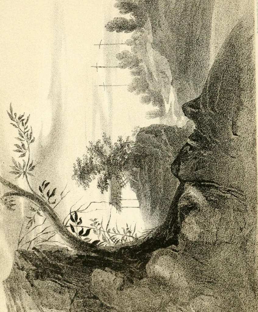 An illustration from Art culture: a hand-book of art technicalities and criticisms, 1873, leaf 395