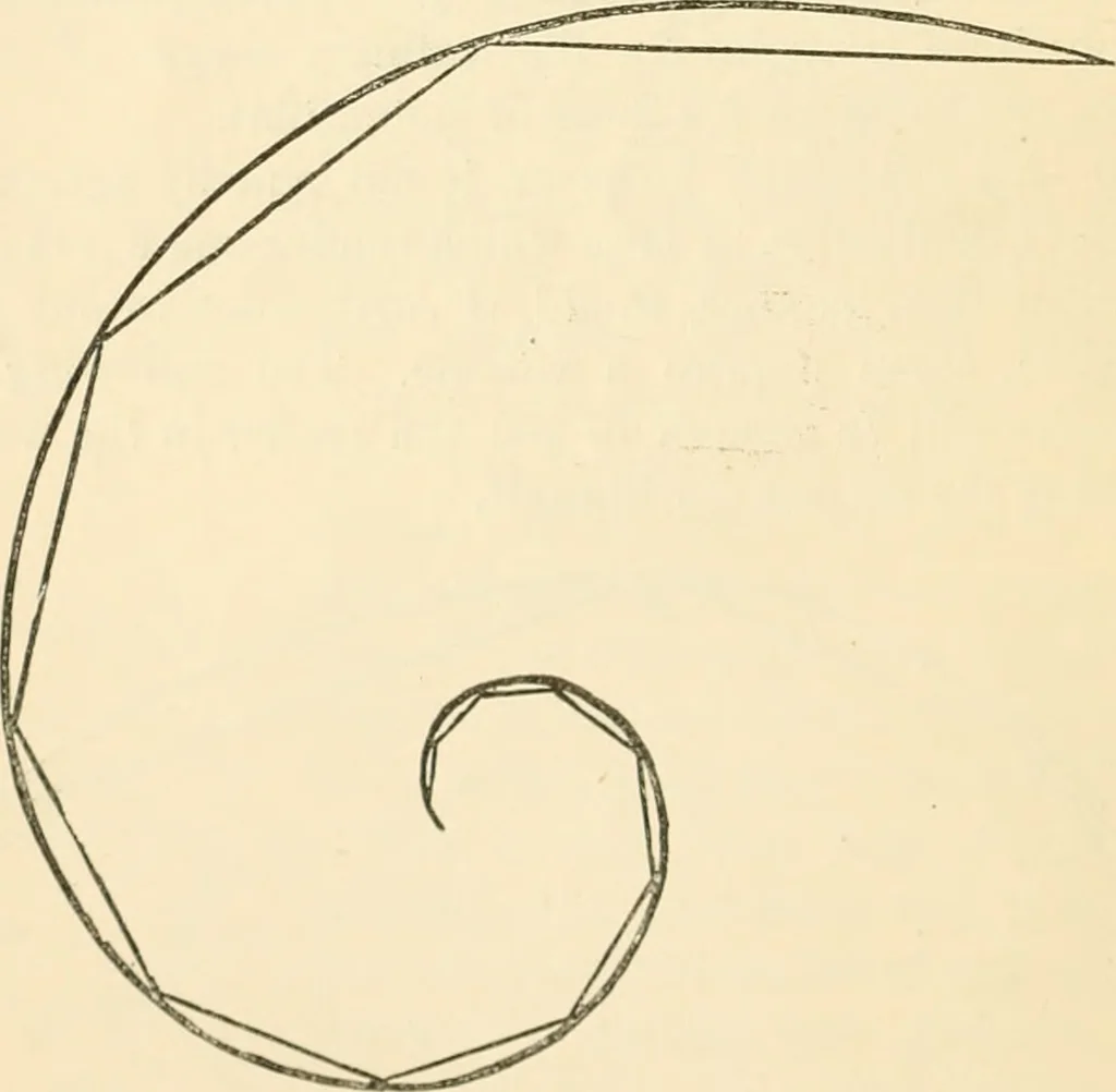 An illustration from Art culture: a hand-book of art technicalities and criticisms, 1873, leaf 67